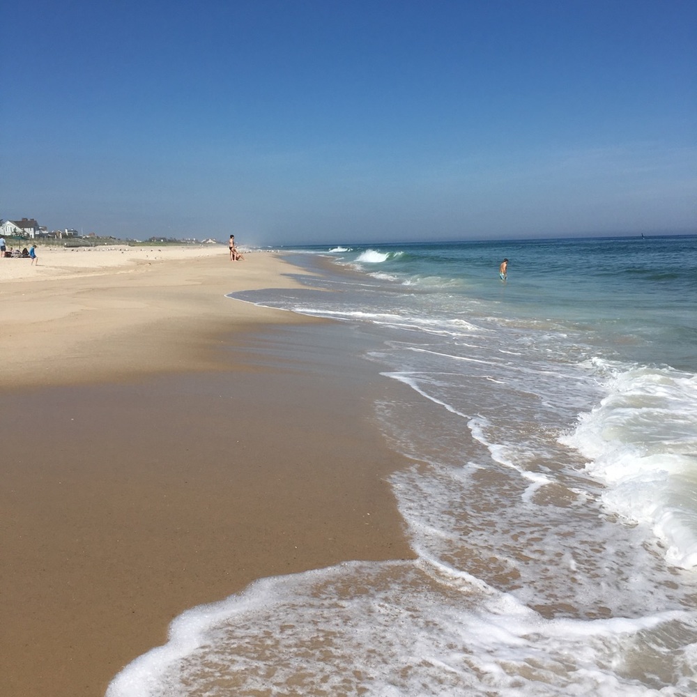 Meet your Posher, Carolina